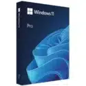 Microsoft Windows 11 Professional (64-bit)