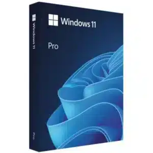 Microsoft Windows 11 Professional (64-bit)