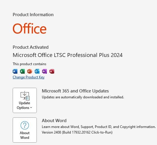 Combo: Office 24 + Microsoft 365 + Windows 11 Pro photo review