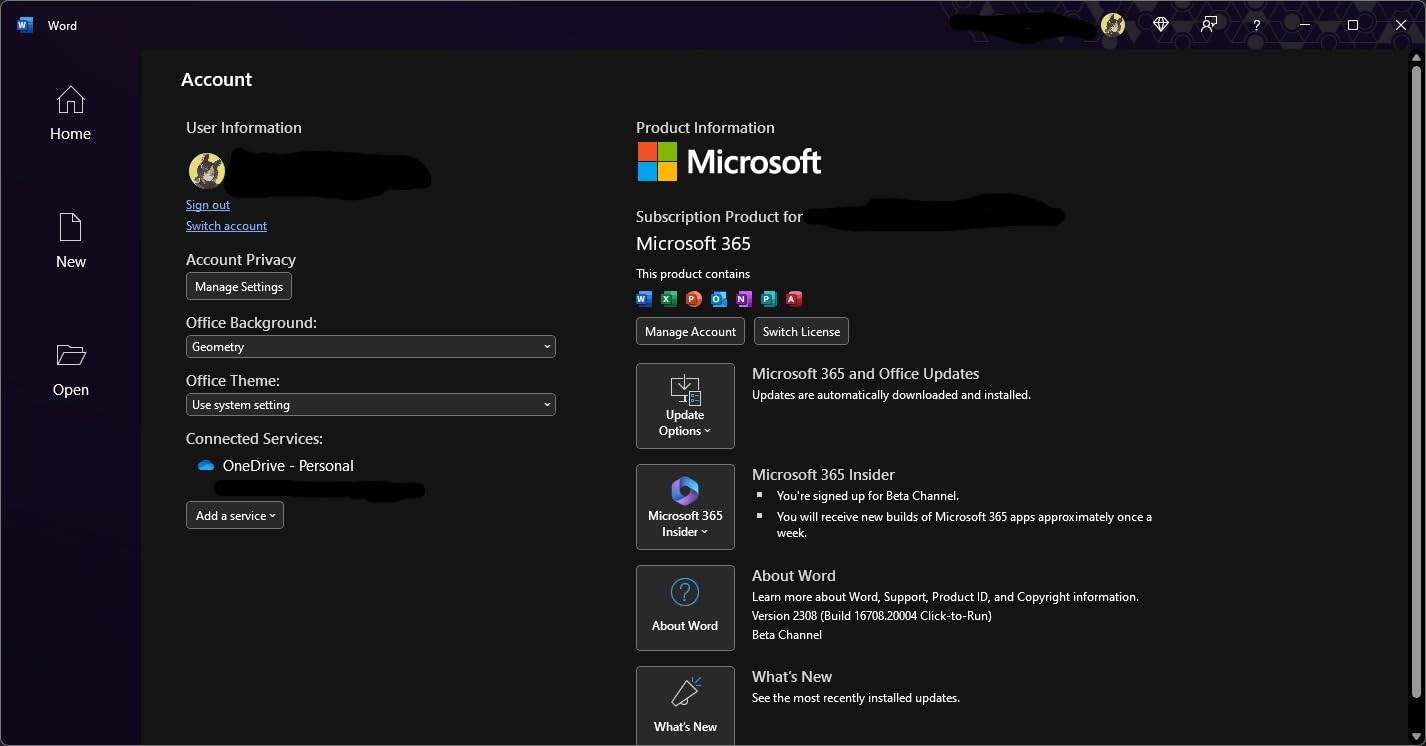 Combo: Office 365 + Office 2024 photo review