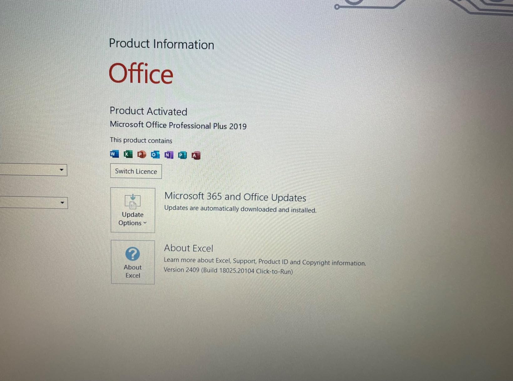 Office 2019 Professional Plus – Lifetime License – Windows photo review