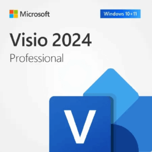 Microsoft Visio Professional - 1 Year License